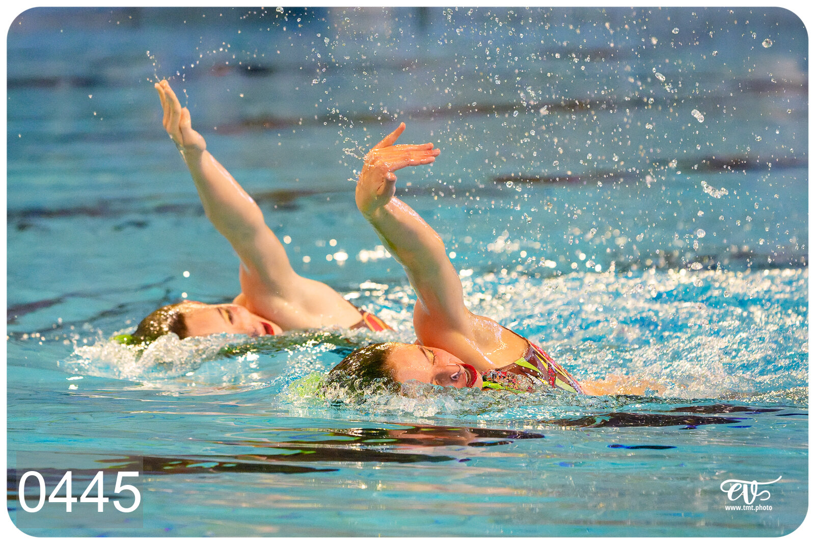 CHAMPIONNAT DE FRANCE DE NATATiON ARTISTIQUE N1 & ELITE 2026